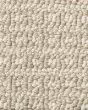 Fetch Pet Friendly Nylon 31oz Pattern Carpet