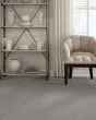 Find Your Comfort Accent II Nylon Carpet