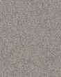 Find Your Comfort Accent II Nylon Carpet
