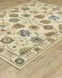 Francesca fr01g Ivory/Multi Area Rug