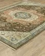 Francesca fr09m Brown/Multi Area Rug