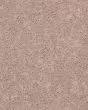 Full Court Flax Seed Carpet
