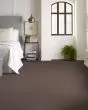Full Court Textured Polyester Carpet
