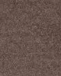 Full Court Textured Polyester Carpet