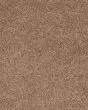 Full Court Taffy Carpet