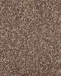Subtle Tones Textured SmartStrand 57oz Carpet