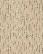 Exquisite Reputation SmartStrand 45oz Carpet