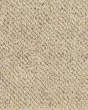 Berber Vogue II 100% Wool 30oz Loop Carpet