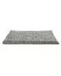 Modern Texture SmartStrand 46oz Carpet