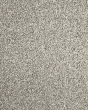 Detailed Statement Textured SmartStrand Carpet