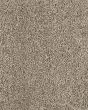 Detailed Statement Textured SmartStrand Carpet