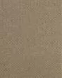 Canyon Ridge II Birch Carpet