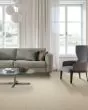Brookhaven III 100% Wool Loop 45oz Carpet