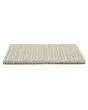 Enduring Statement SmartStrand 36oz Carpet
