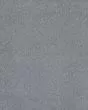 Opulent Tradition Textured Nylon 65oz Carpet