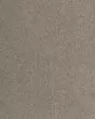 Luxurious Hues Textured SmartStrand 55oz Carpet