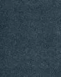 Tranquil Journey Textured 40oz Carpet