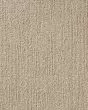 True North Patterned Nylon Blend Carpet