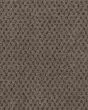 Timeless Effects Enduring Patterned 45oz SmartStrand Carpet