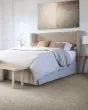 Candor SmartStrand Textured 43oz Carpet