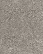 Candor SmartStrand Textured 43oz Carpet