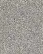 Novel Flair A La Mode Carpet