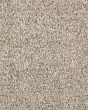 Leon Aurora Textured 40oz SmartStrand Carpet