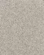 Apollo Bay Holzer Textured 45oz SmartStrand Carpet