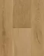 Nature's Canvas Gold Bay Charm Hickory Hardwood