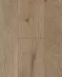 Nature's Canvas Gold Harbor Charm Hickory Hardwood