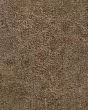 Graceful Balance Gentle Fawn Carpet