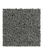Graceful Intrigue Textured 50oz Carpet