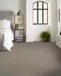 Hard At Play III Chic Greige Carpet