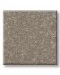 Hard At Play III Chic Greige Carpet