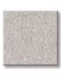 Hard At Play II 53oz Textured Carpet