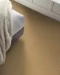 Hard At Play I Honeycomb Carpet