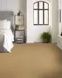 Hard At Play I Honeycomb Carpet