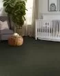 Hard At Play I Rerooted Nature Carpet