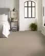 Hard At Play II Subtle Clay Carpet