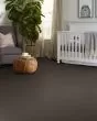 Hard At Play I Urban Rustic Carpet
