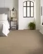 Hard At Play II Worn Path Carpet