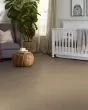 Hard At Play II Worn Path Carpet