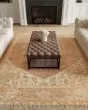 Heritage Vine HTV06 Rust Area Rug