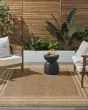 Horizon Indoor/Outdoor HOZ03 Natural Area Rug