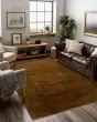 Hudson Sienna Area Rug