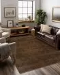 Hudson Umber Area Rug