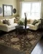 Hudson 42g Brown/Beige Area Rug
