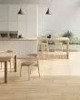Impact Plank Birch Wood Porcelain Tile