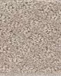 In Style Butter Cream Carpet