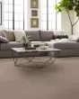 In Style Butter Cream Carpet